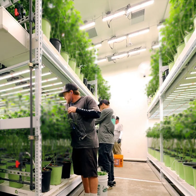 Indoor Plants Rack Hydroponic Mobile Grow Rack Vertical System - Buy ...