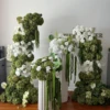Vert + blanc