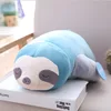 Blue sloth