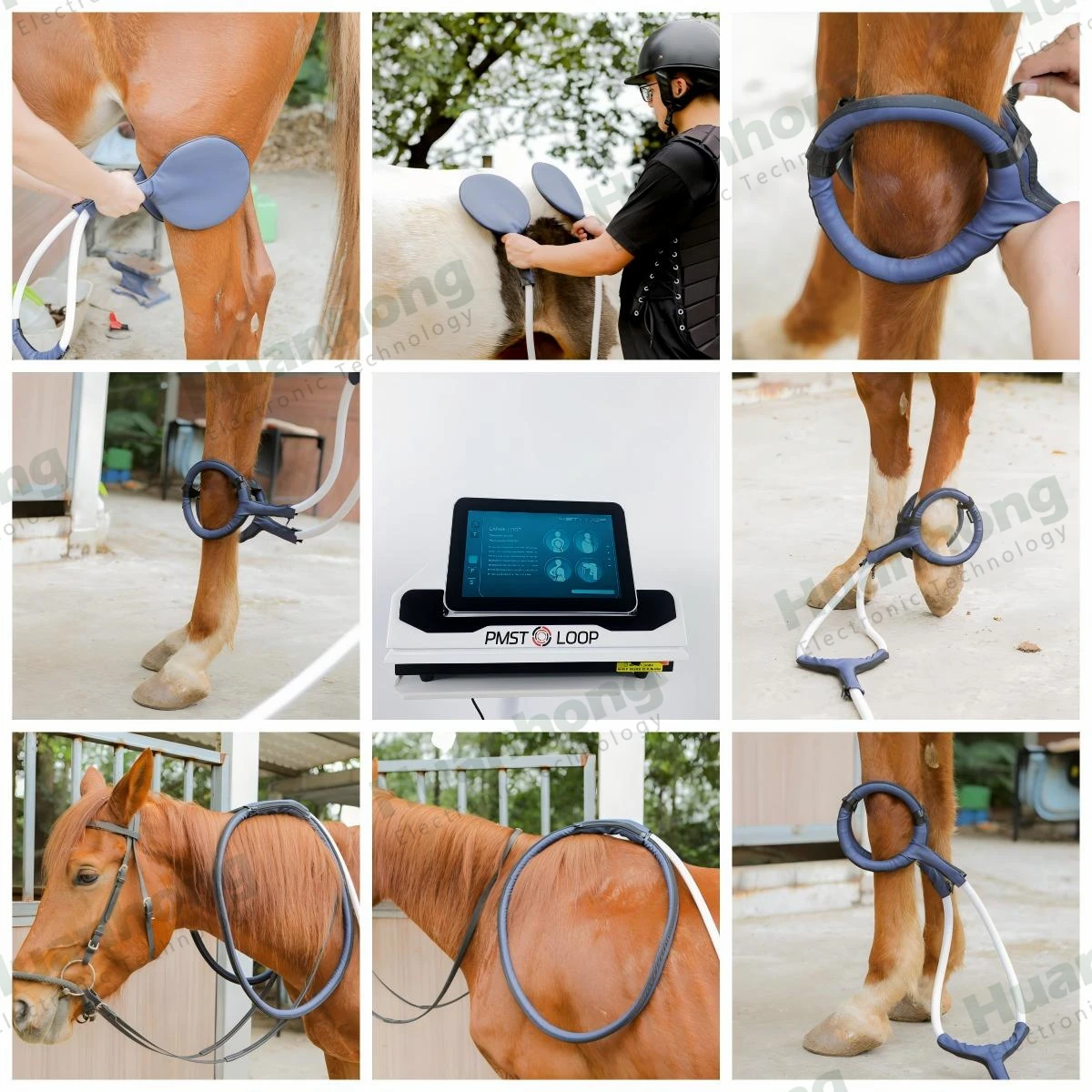 Human Body Physio Magneto 2 in 1 PEMF LOOP Magnetotherapy Machine Pulse Magnetic Machine With Horse Use Interface System