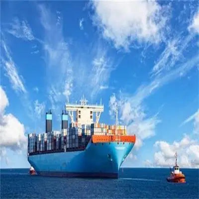 Professional China Shipping Agent With Warehouse And Sea Shipping Services