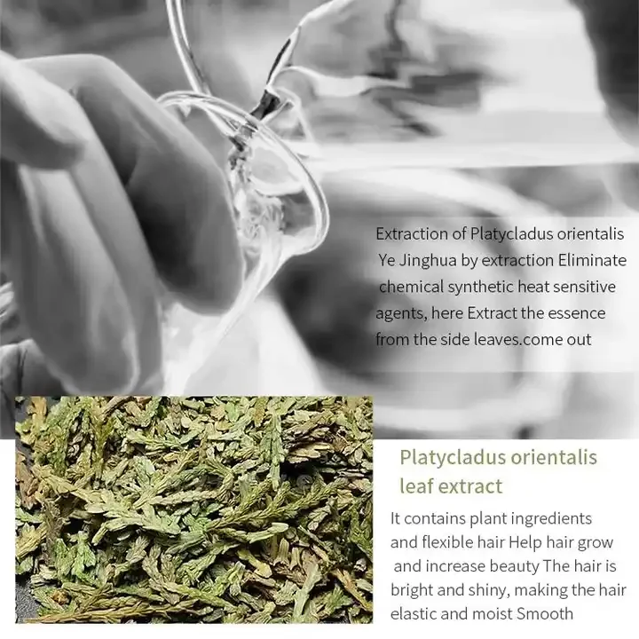 OEM Bioaqua Private Label Platycladus Orientalis Leaf Extract Orgaic Nourishing Hair Care Hair Smoothing Moisturizing Shampoo