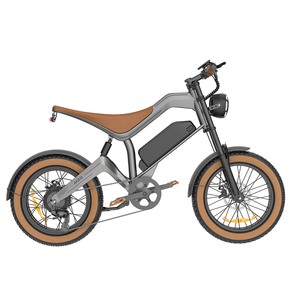 F-WHEEL M20 750W full suspension fat tire electric bike in side view