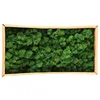 Verde-4 stile