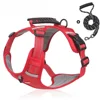 Red harness  leash set
