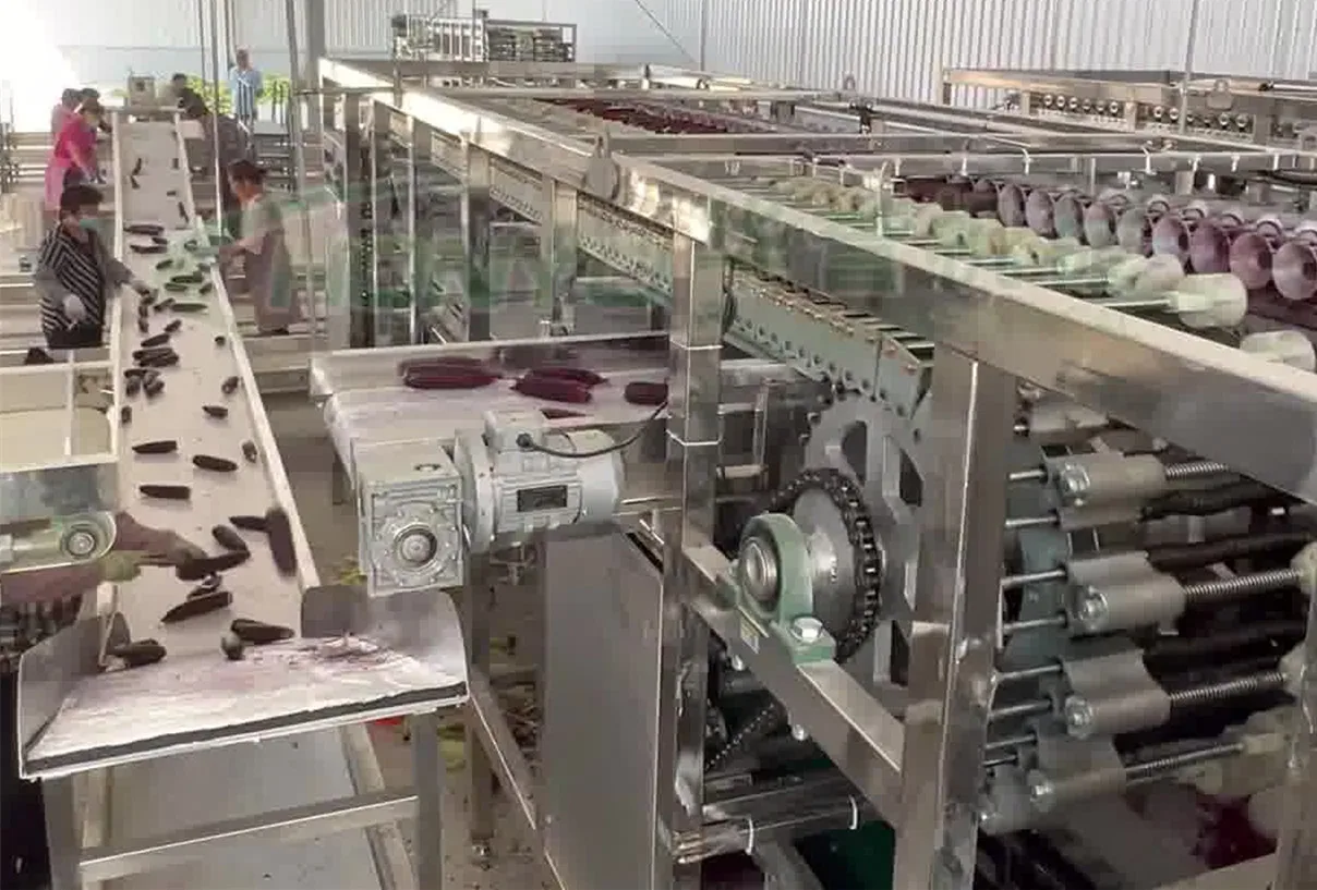 Industrial continuous fresh corn peeling, washing, blanching, air drying, packaging and freezing processing production line