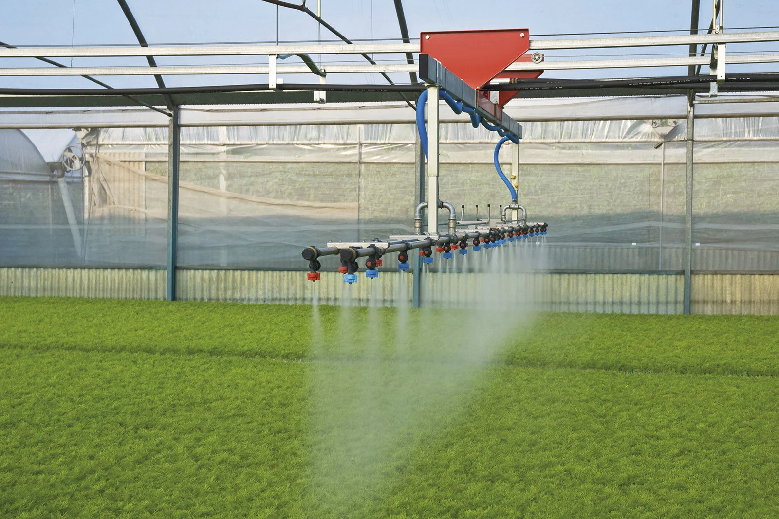 medical herb greenhouse
