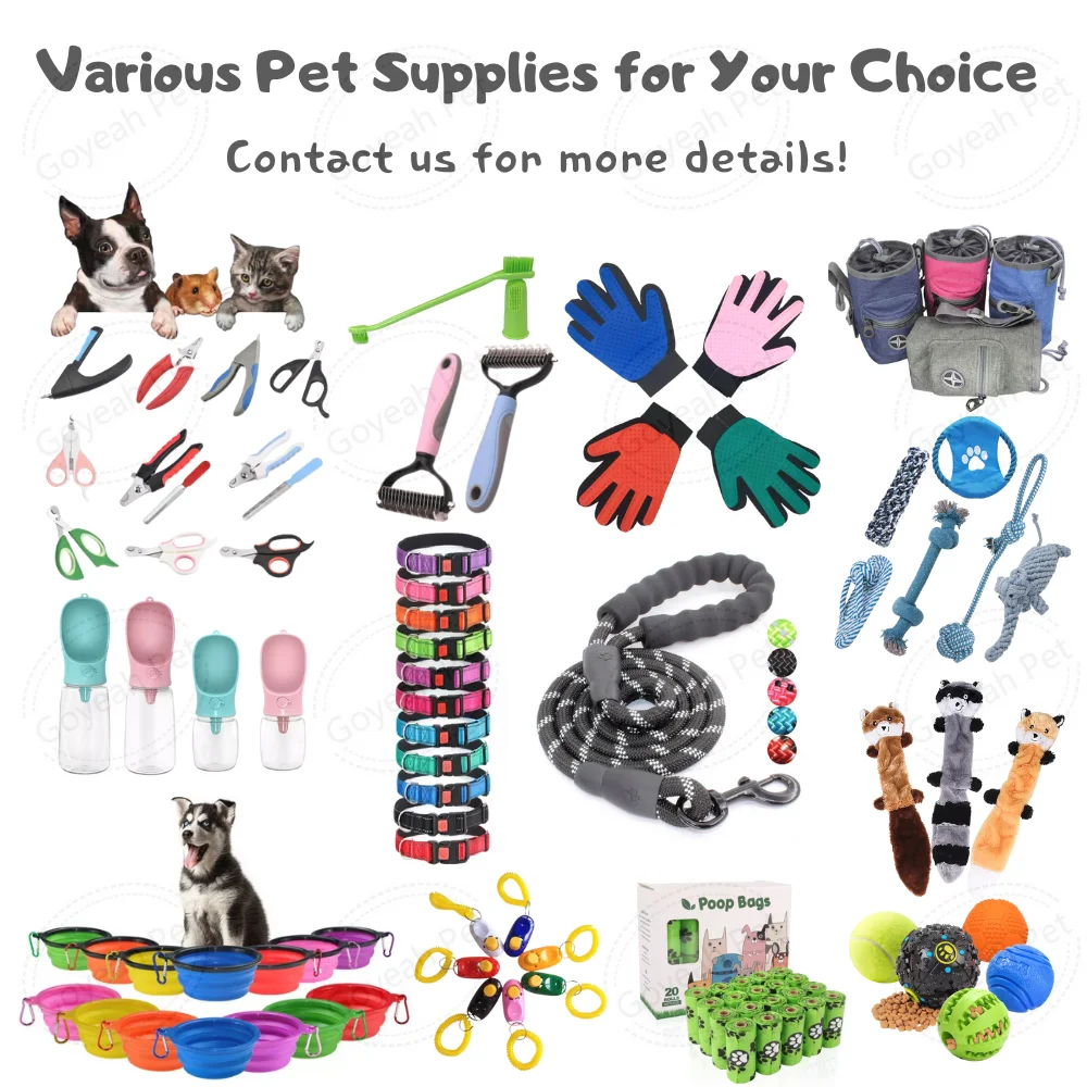 Starter Pack Little Lits Pet Shop List Essential Dog Supplies New