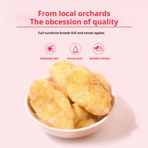 Dry Fruits Popular Wholesale Dried Apple Dry Fruit Dried Apples