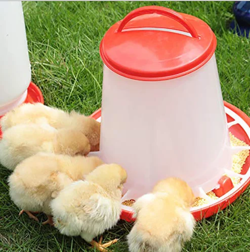 Most Popular Solid Poultry Farm Baby Chick