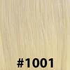 #1001