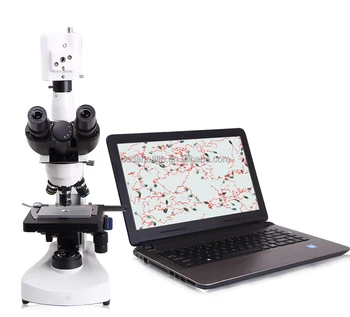 Best sellers wholesale Portable Vet Sperm Analyzer head morphology analyzer Biological Microscopes for Veterinary Use