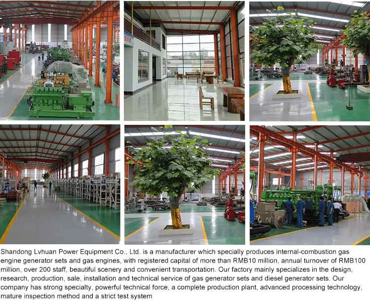 30kw天然气发电机组