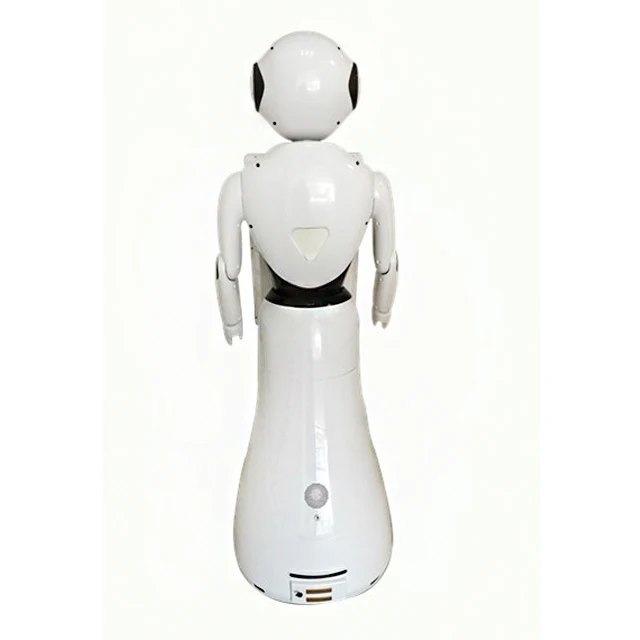 Programmable Ros Robot Live Size Humanoid Robot Smart Intelligence for Sale