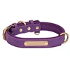 purple with logo