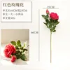 Single red rose