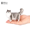 3627 Chat Ragdoll