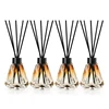 Luxury Gradient Glass Jar Diffuser