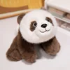 panda marrón