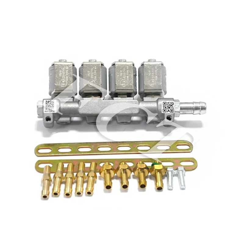 Hot Sale Motorcycle lpg CNG Kits Common Rail Injector for Used Car Gas Fuel System Conversion Kit for Car
