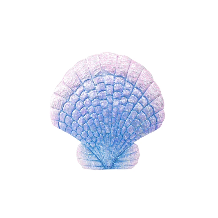 shells seashell natural ocean home color