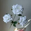 สีขาว