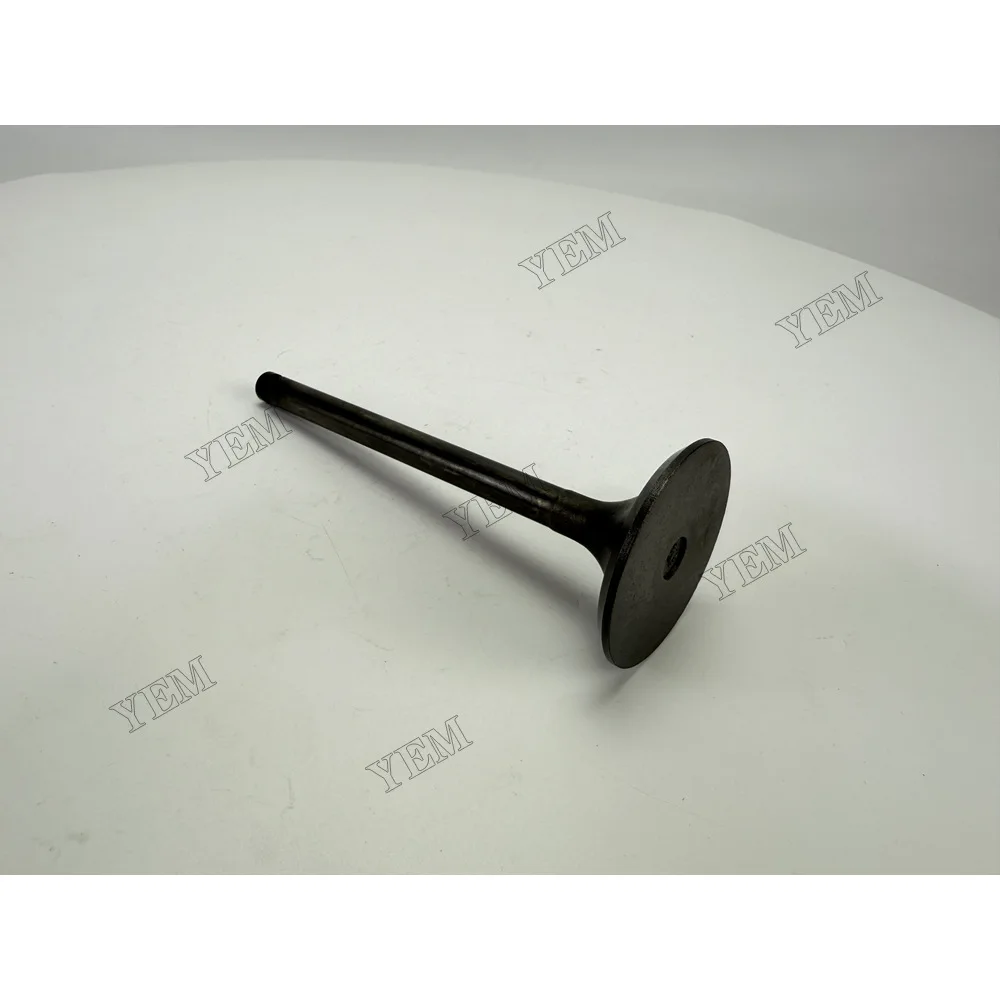 Intake Valve for Nissan NE6 Industrial Engine Parts 6