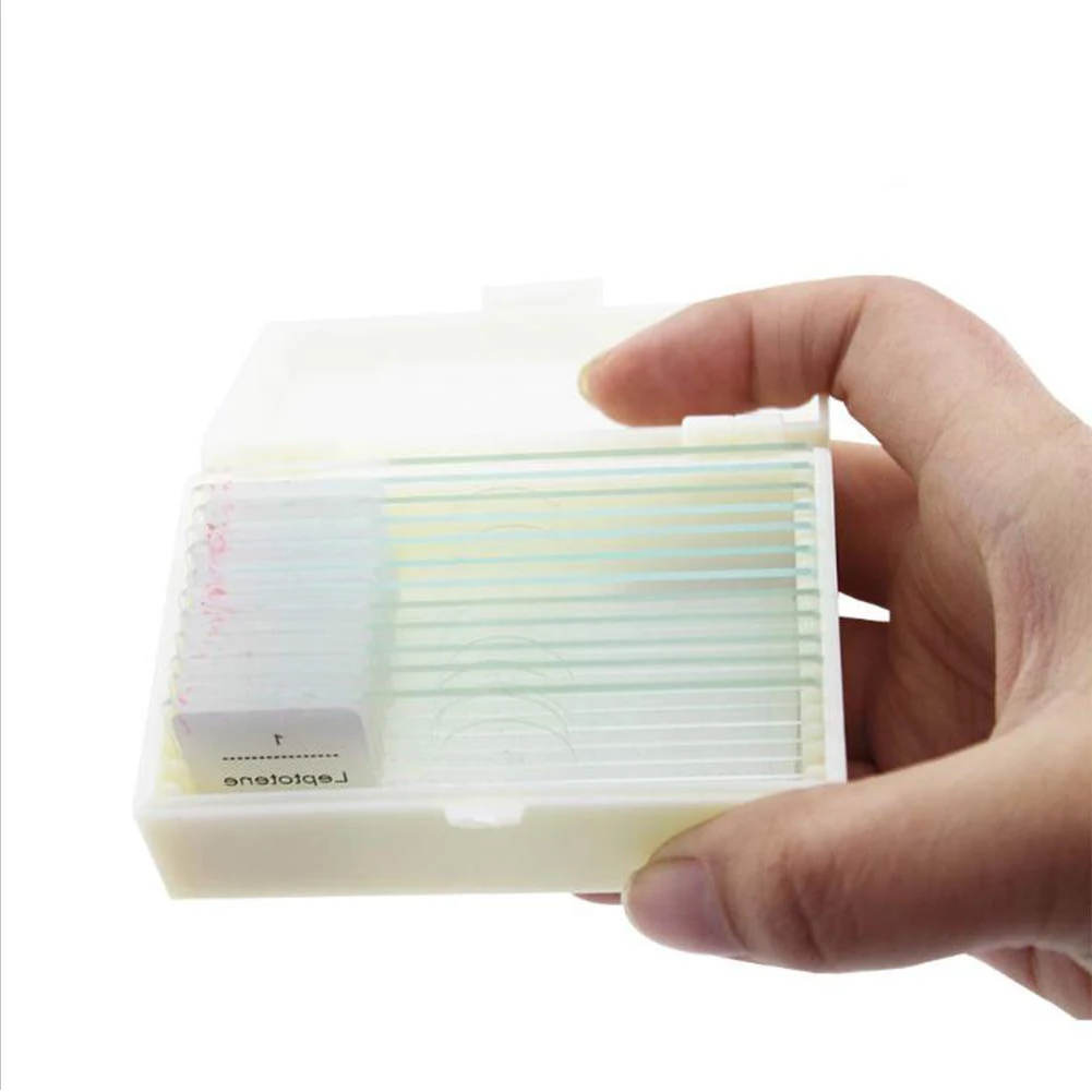 Medical Teaching Research Algae Botany 10pcs Pre Prepared Microscope Slides