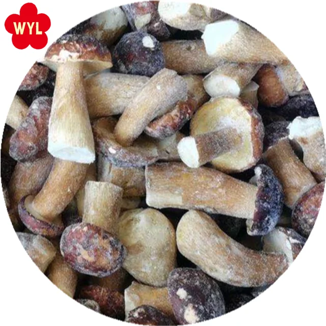 2.Boletus edulis whole