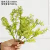 Fennel Stalk Green