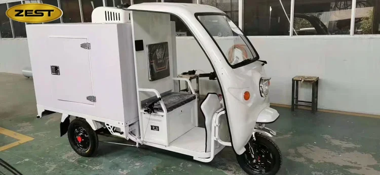 
Охлаждаемый грузовой трицикл для мороженого 