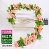 9 roses, 2 pink strips