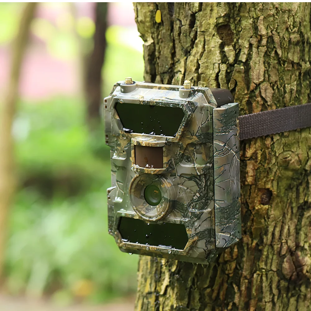 Фотоловушка lte. Trail Camera 4g. Trail Camera sl122m. Фотоловушка Боливар мини.