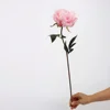 Petite pivoine rose foncé