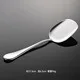 Individual serving spatula
