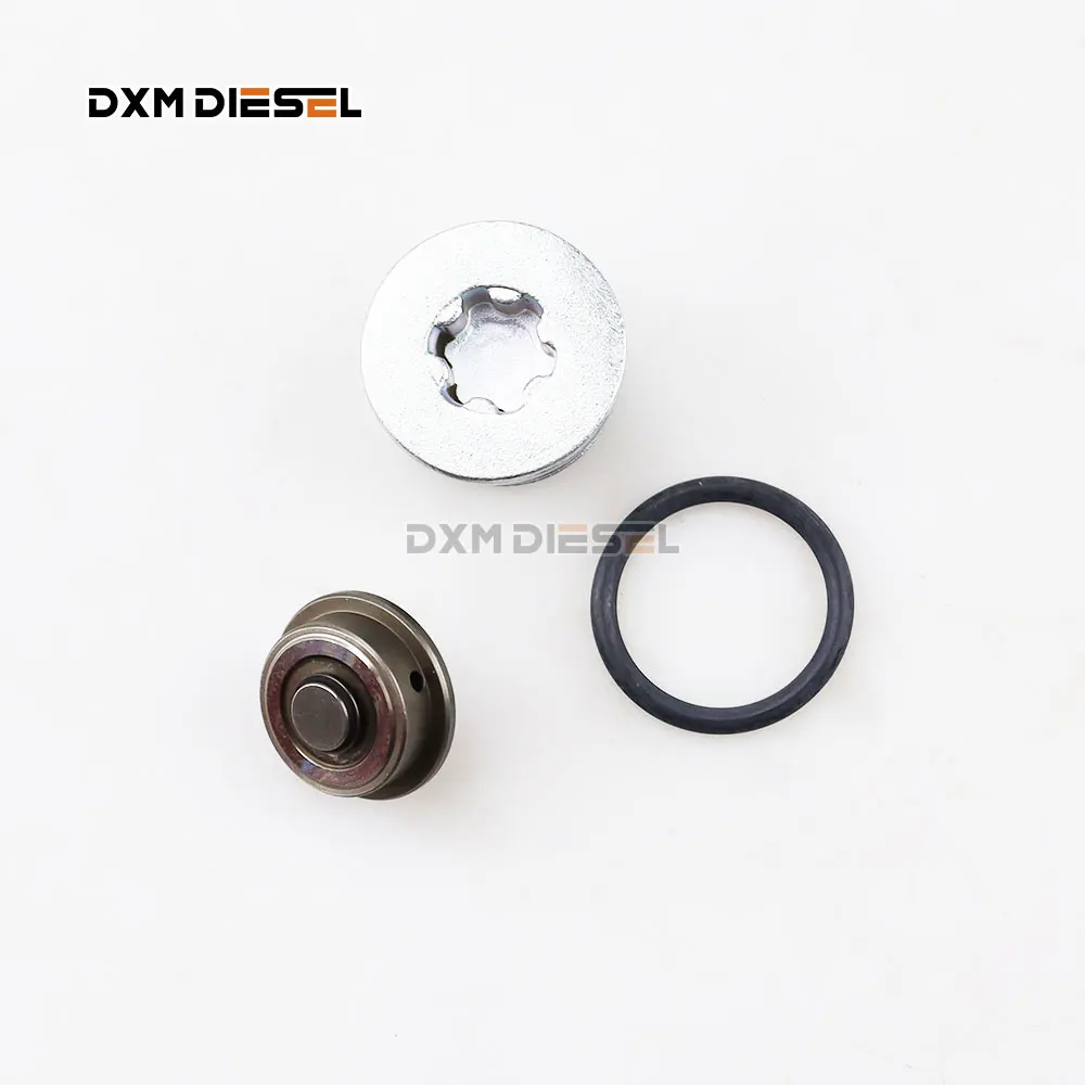 DXM high quality Rebuild Overhaul kits F00N01244 manufacture