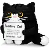 Big-eyed black cat9