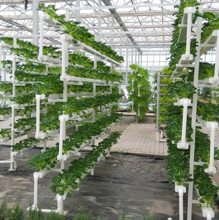 Tour Hydroponique 6 Niveaux 30 Pots - Système De Culture Intérieur Sans Terre - Réservoir 10L - Pour Herbes, Légumes - 4