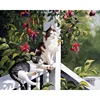 514 dependent cat