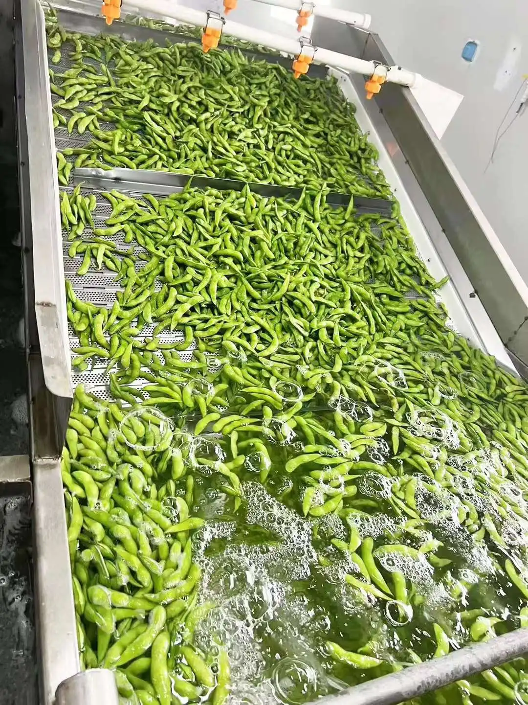 China Supplier High Quality Bulk IQF Frozen Green Edamame Soybean