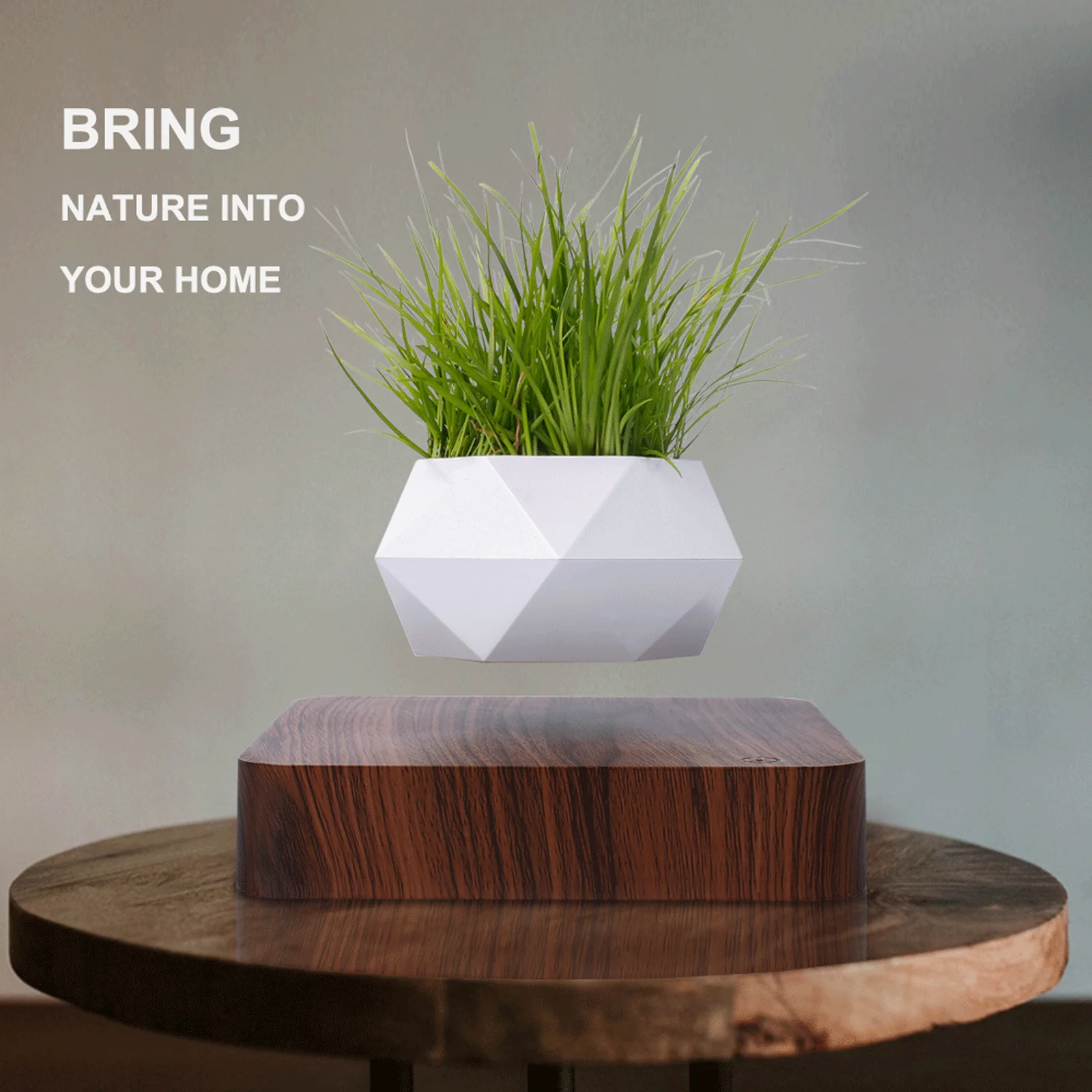 Hcnt Floating Plant Pot Levitating Bonsai Home Plants Stand