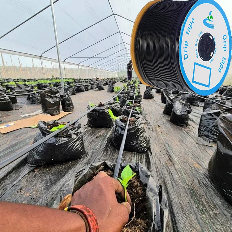 Greenhouse Agriculture System Hose China Drip Irrigation Manufacturer Full Set Drip Irrigation Kit ha Farm Double Line Drip Tape