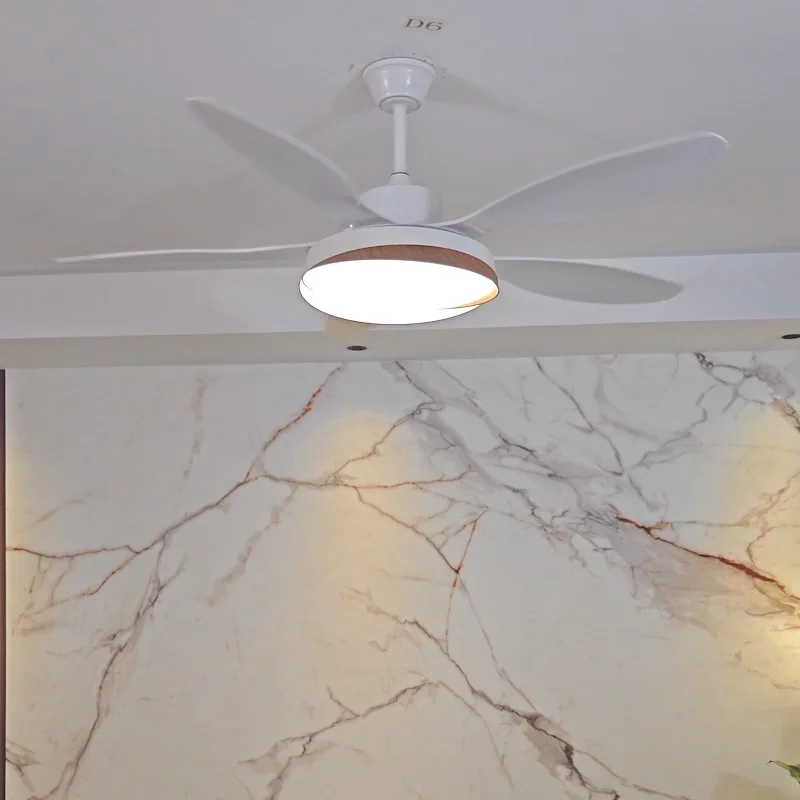 Factory Sells Nordic Style Minimalist Restaurant Solid Dc Ceiling Fan