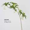 Simulation modeling banyan tree flower