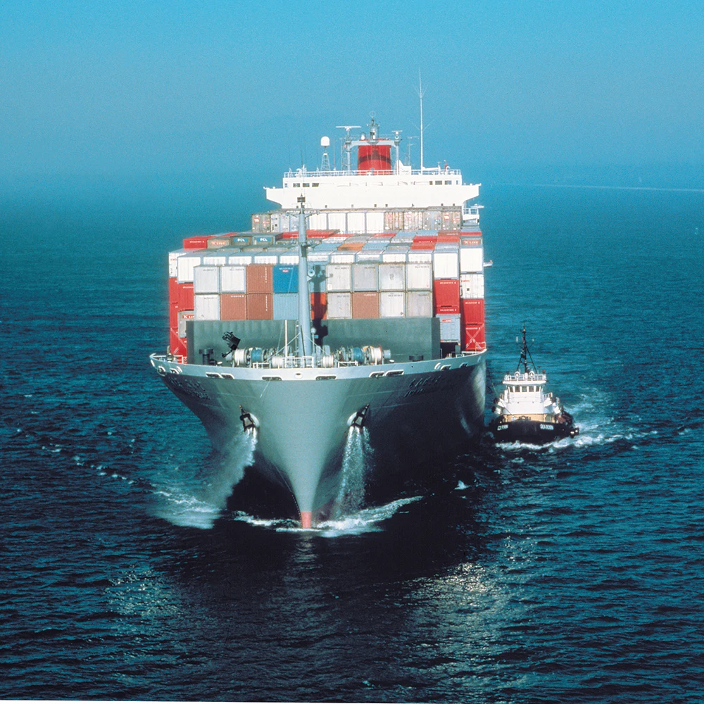 Fast Shipping Agent Top 10 Freight Forwarder to Slovakia Sea Truck Deliver Free Tax Cheap Express Door to Door Logistics Service