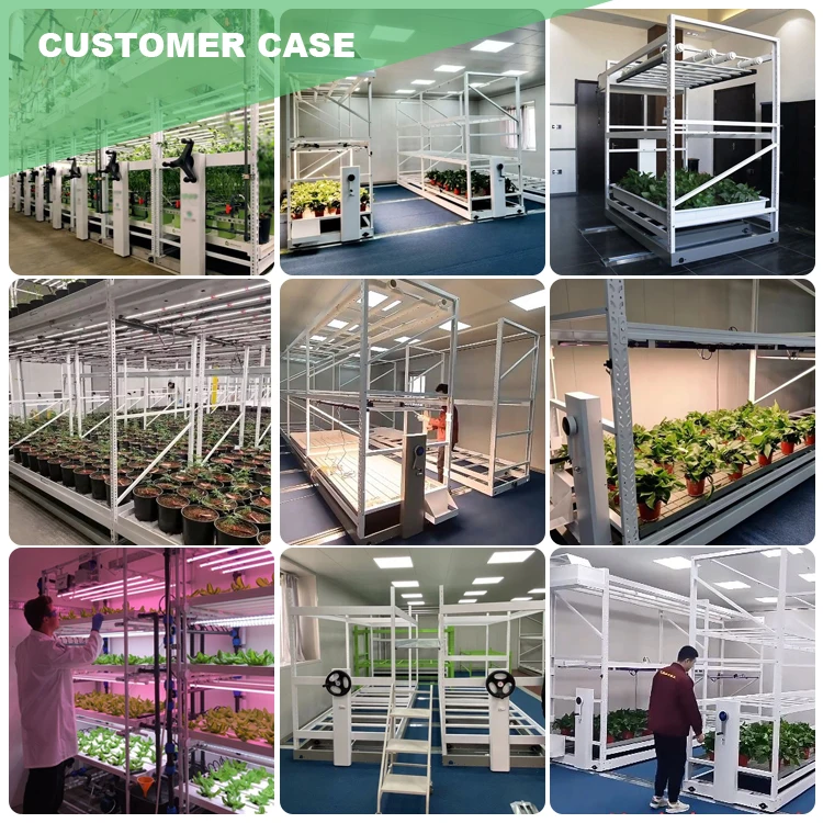 Modular Cultivation Racks Customizable Multi-Tier Indoor Cultivation Plant LED Grow System ...