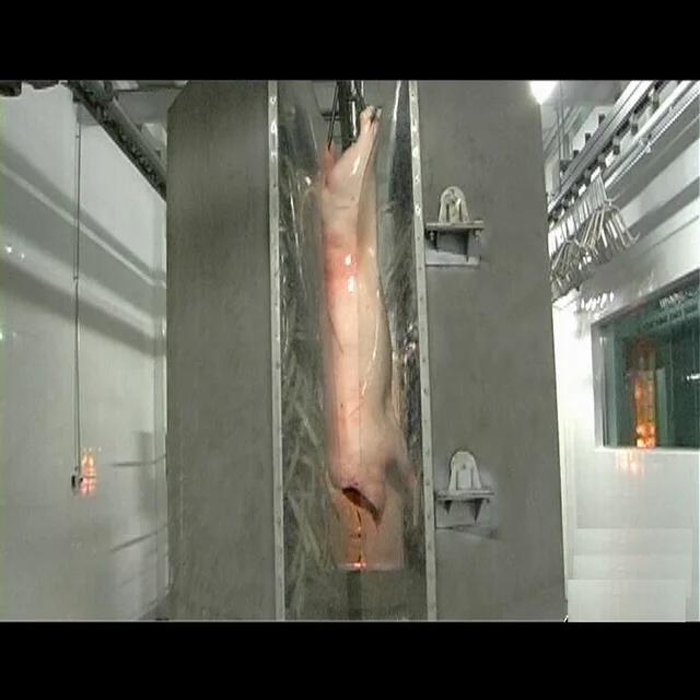 Pig house cleaning machine is used in pig farm slaughterhouse equipment: