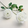 3 heads (2 flowers and 1 bud) of white ranunculus