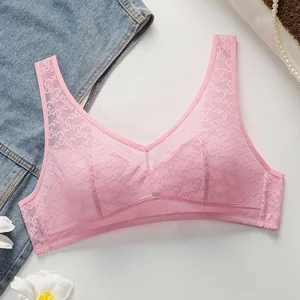 Manufacturer High Duty Sexy Women See Though Floral Underwear Back Buckle Knitted Breathable Lace Decoration Push-Up Feature