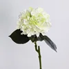 Bianco-Verde
